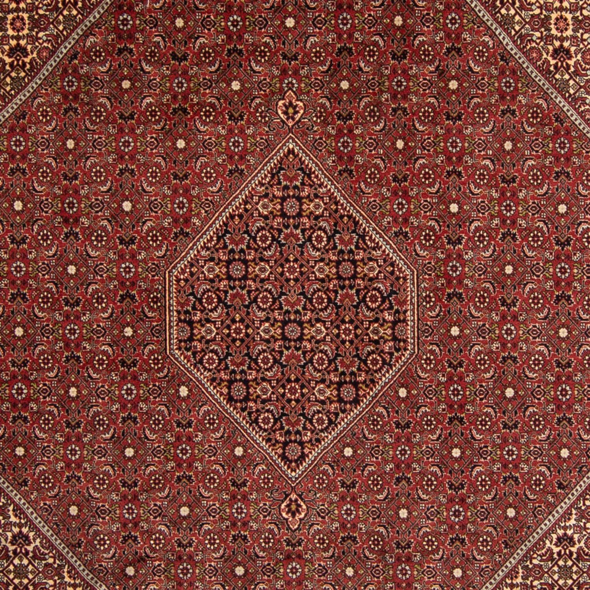 Perzisch tapijt - Bijar - 345 x 247 cm - bruin