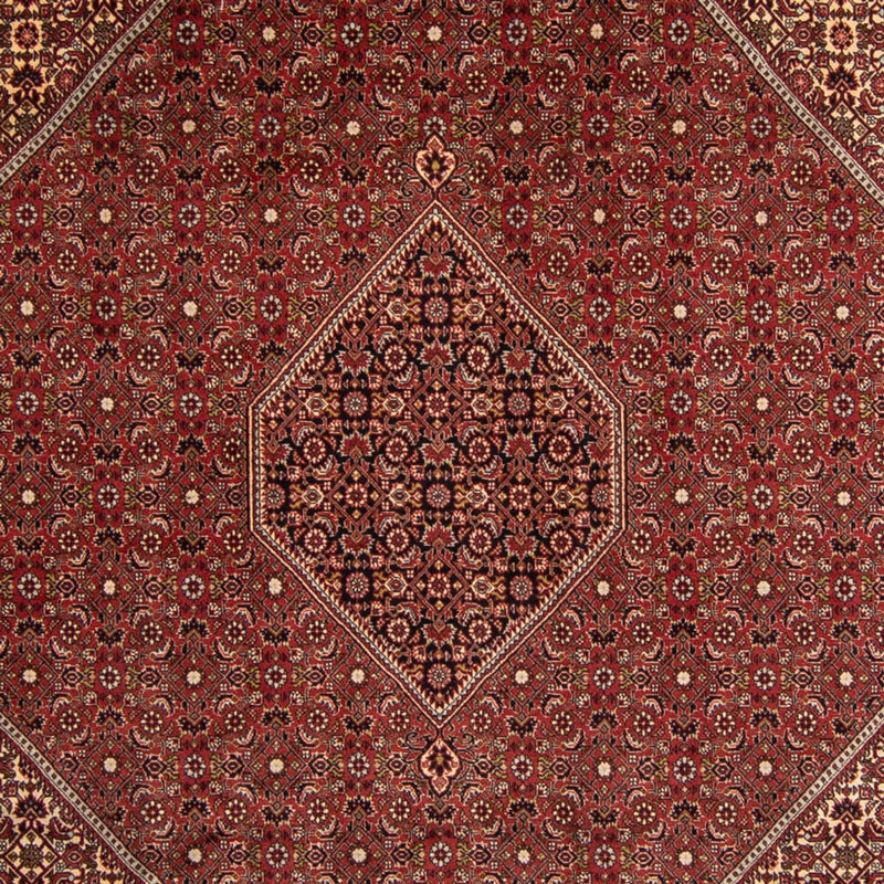 Perzisch tapijt - Bijar - 345 x 247 cm - bruin