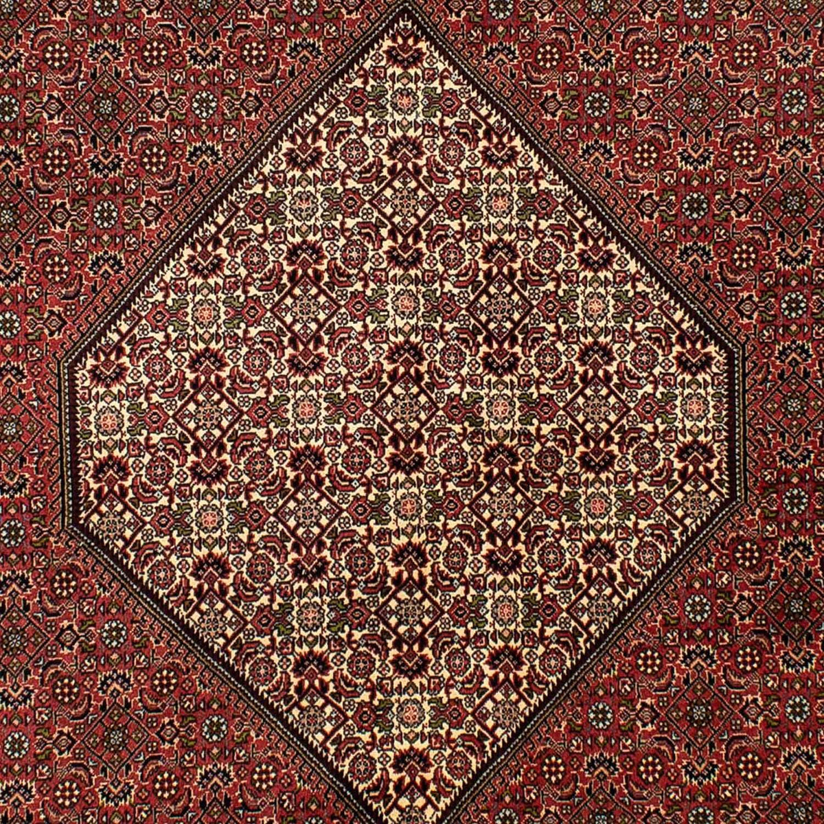 Perzisch tapijt - Bijar - 265 x 171 cm - bruin