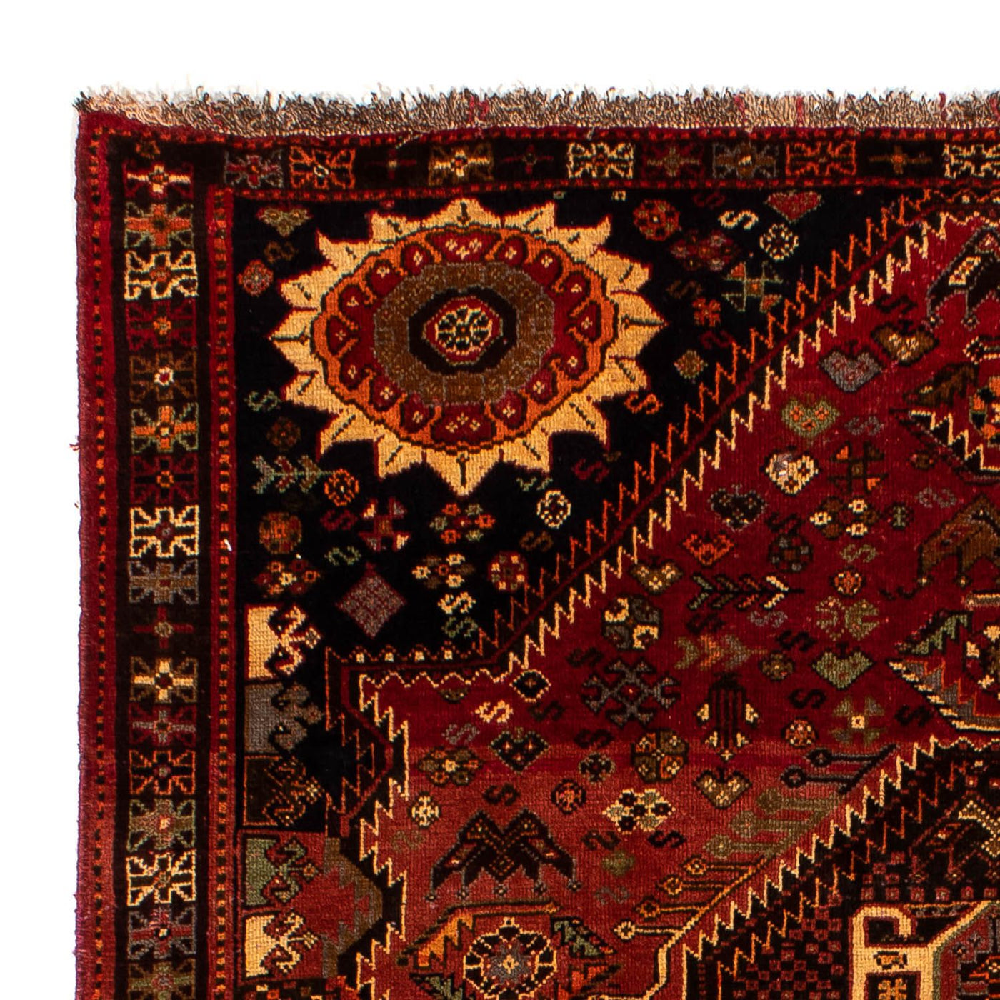 Shiraz Tapijt 285x185cm - Perzisch tapijt
