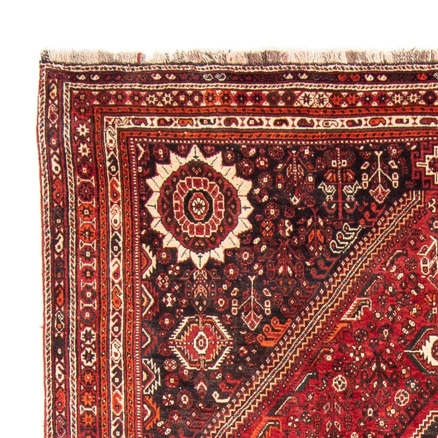 Qashqai Tapijt 328x215cm - Perzisch tapijt