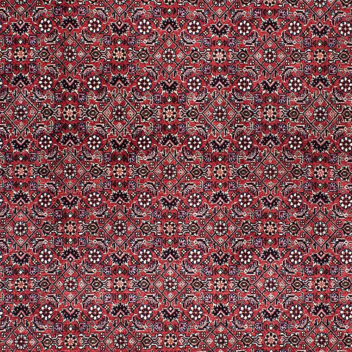 Perzisch tapijt - Bijar - 200 x 133 cm - licht rood