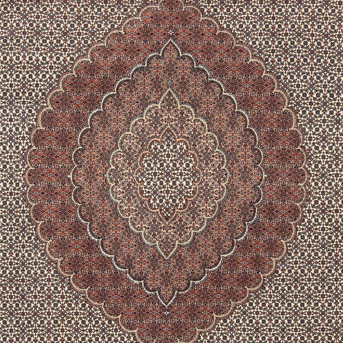 Perzisch tapijt - Tabriz - 300 x 250 cm - veelkleurig