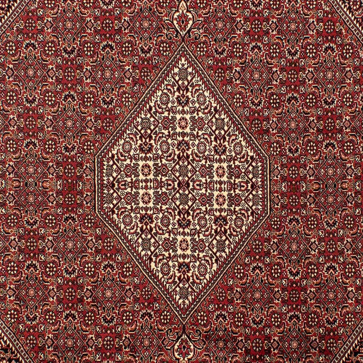 Perzisch tapijt - Bijar - 304 x 200 cm - bruin