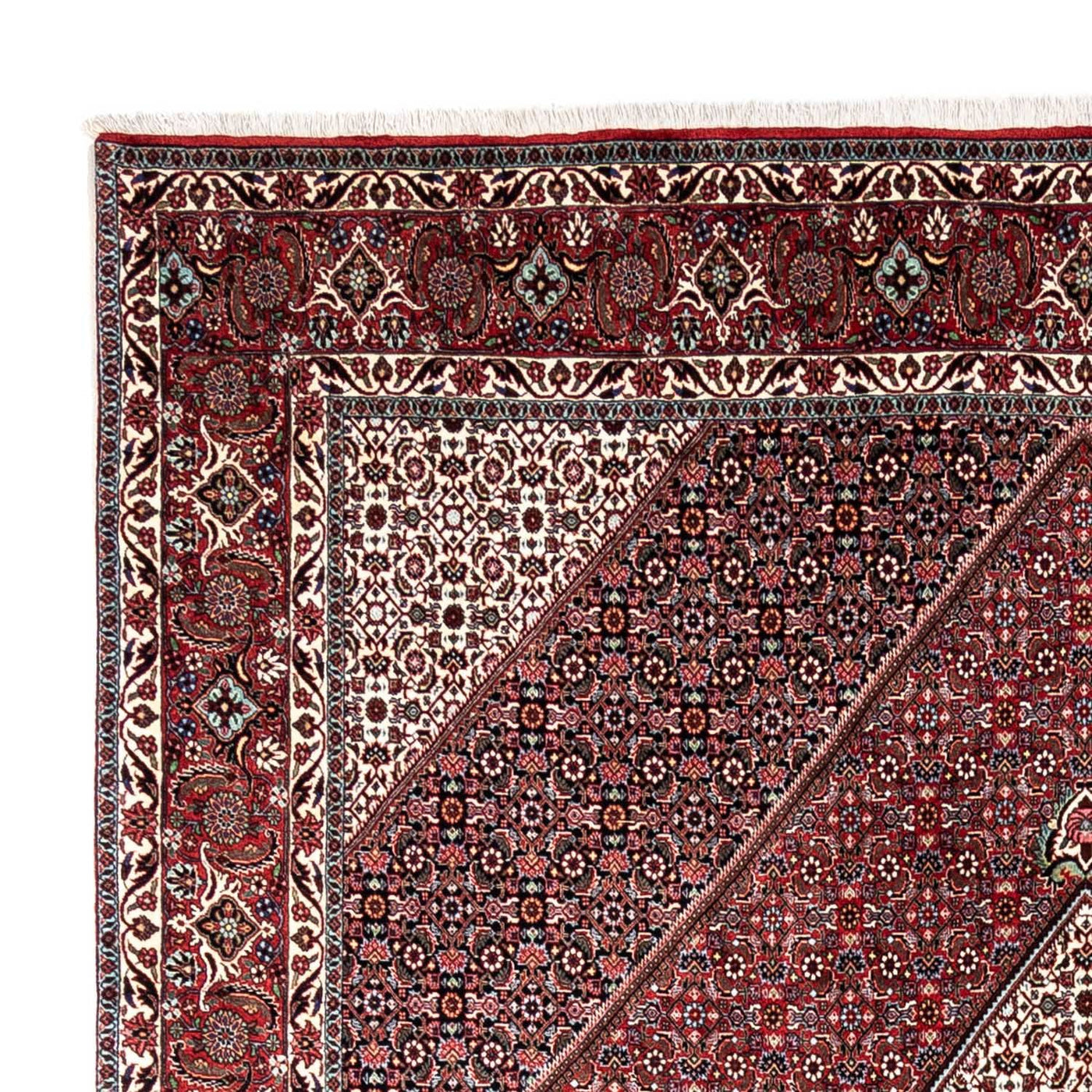 Bidjar - Takab Tapijt 338x249cm - Perzisch tapijt