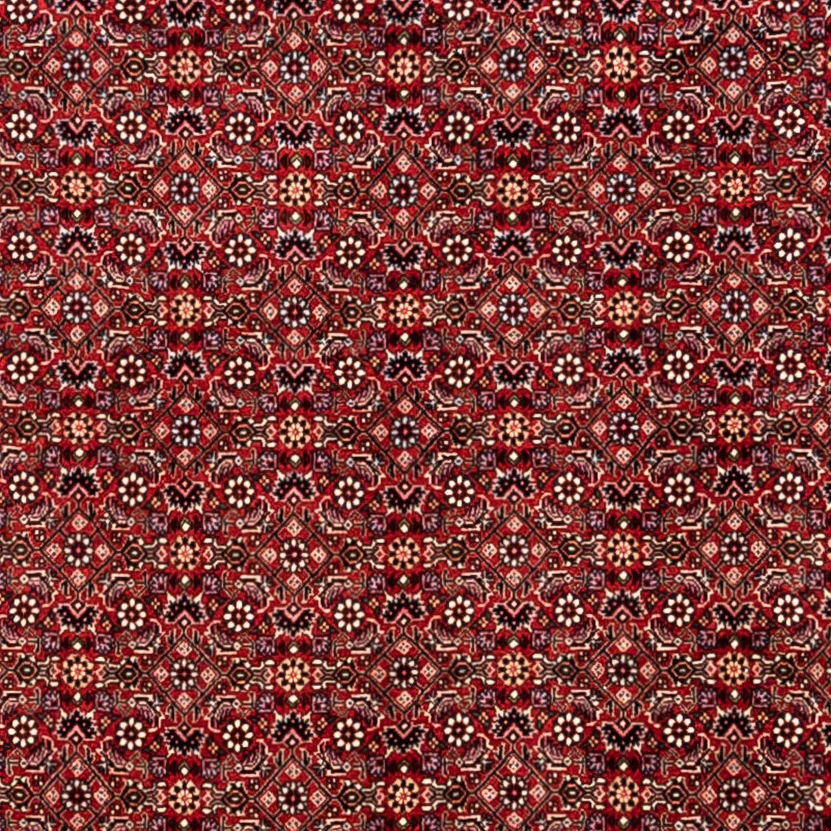 Perzisch tapijt - Bijar - Koninklijk - 340 x 248 cm - rood