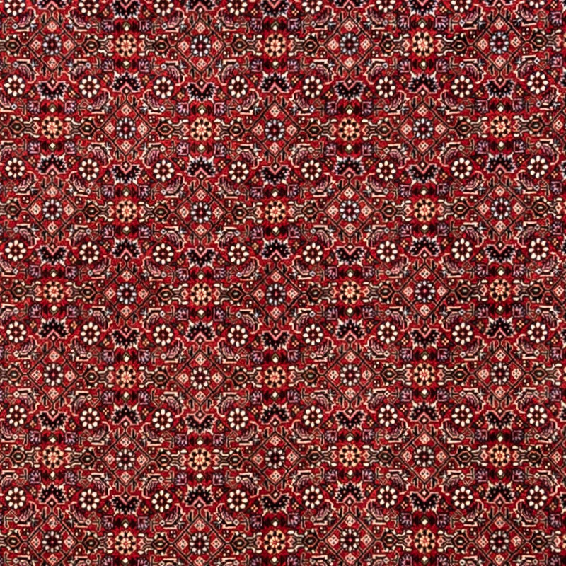 Perzisch tapijt - Bijar - Koninklijk - 340 x 248 cm - rood