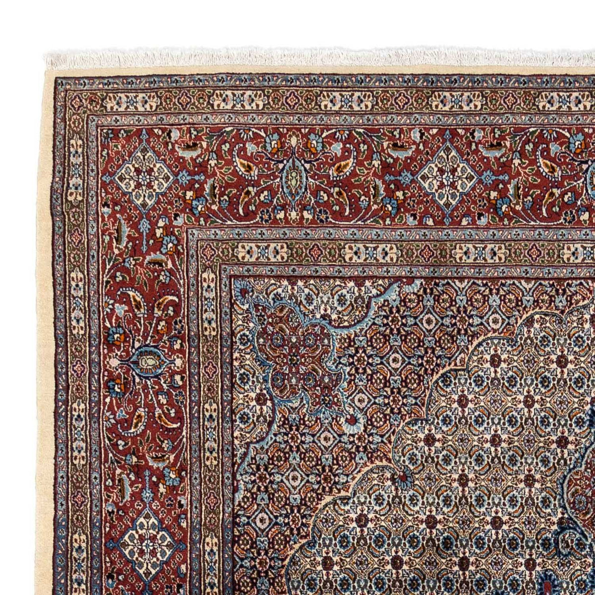 Moud Tapijt 248x350cm - Perzisch tapijt