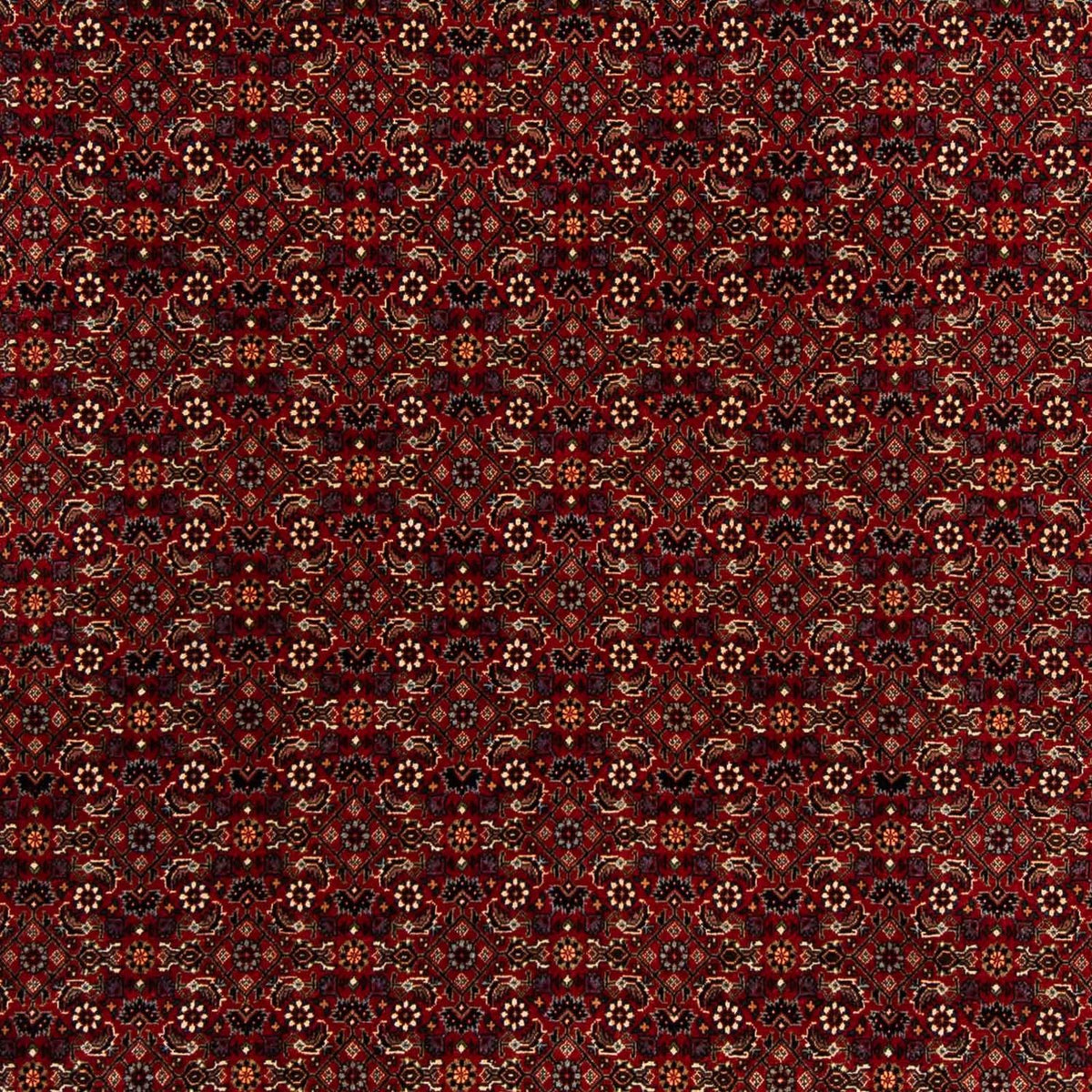 Perzisch tapijt - Bijar vierkant  - 207 x 200 cm - donkerrood