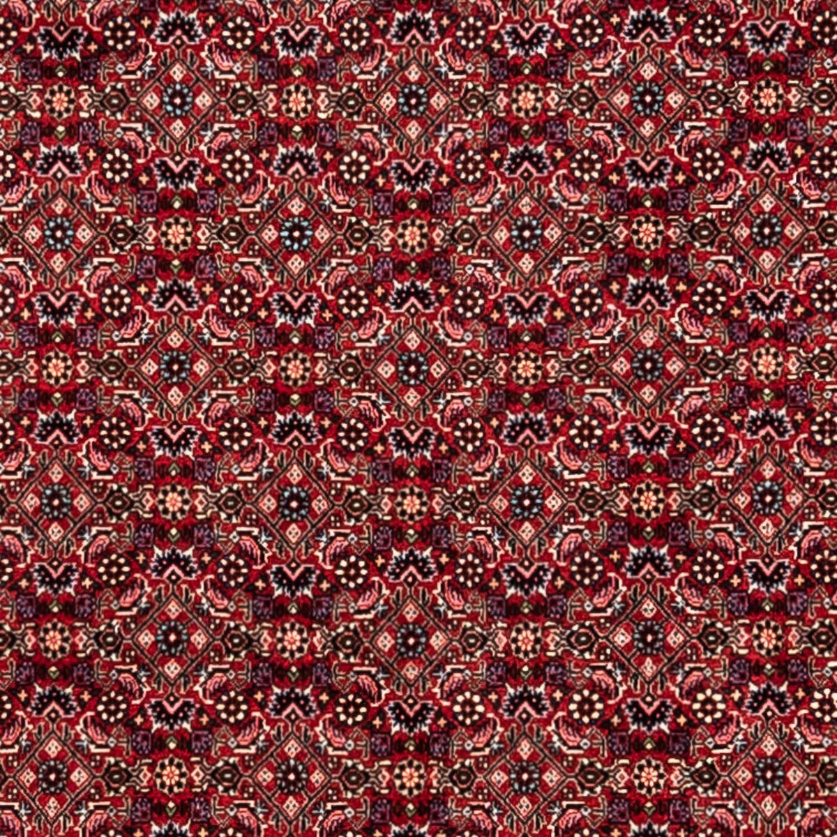Perzisch tapijt - Bijar - Koninklijk - 337 x 252 cm - rood