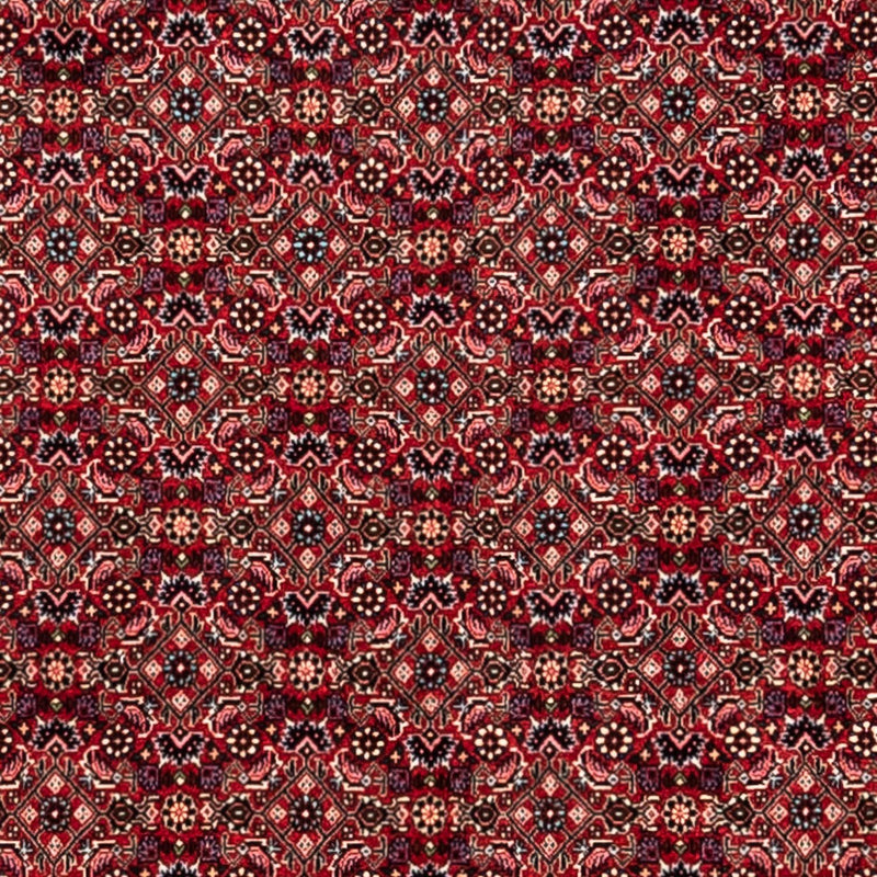 Perzisch tapijt - Bijar - Koninklijk - 337 x 252 cm - rood