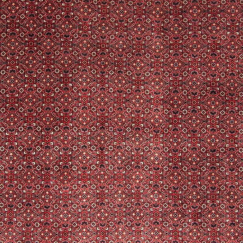 Perzisch tapijt - Bijar - 338 x 258 cm - rood