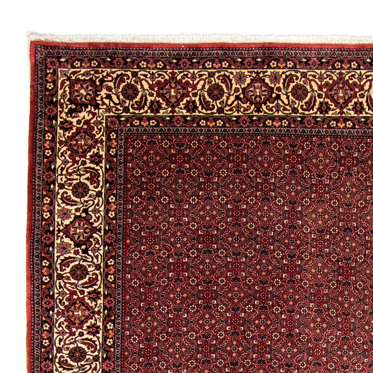 Perzisch tapijt - Bijar - 338 x 258 cm - rood