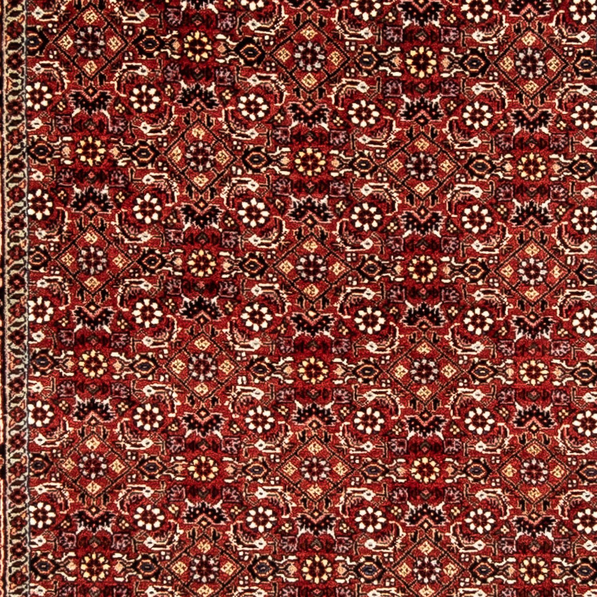 Loper Perzisch tapijt - Bijar - 298 x 80 cm - donkerrood