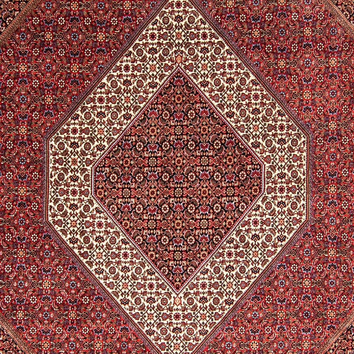 Perzisch tapijt - Bijar - 345 x 252 cm - rood