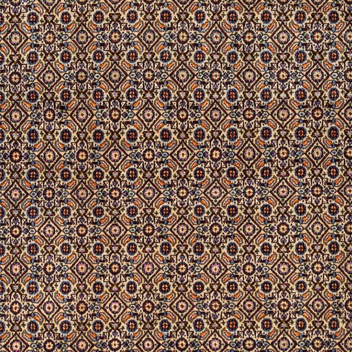 Perzisch tapijt - Klassiek - 295 x 243 cm - lichtbruin