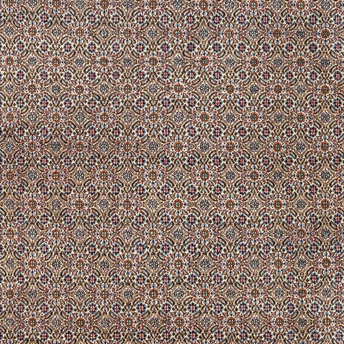 Perzisch tapijt - Klassiek - 334 x 248 cm - beige