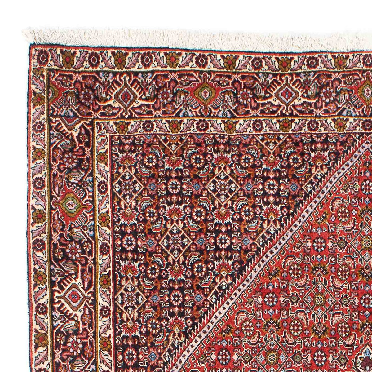Bidjar - Zanjan Tapijt 136x225cm - Perzisch tapijt