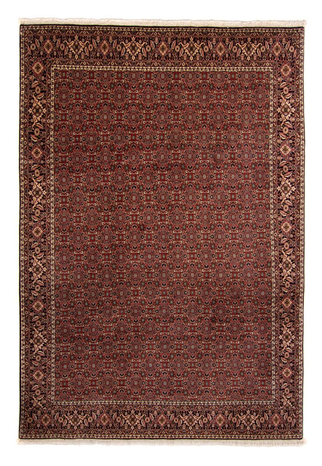 Perzisch tapijt - Bijar - 342 x 244 cm - bruin