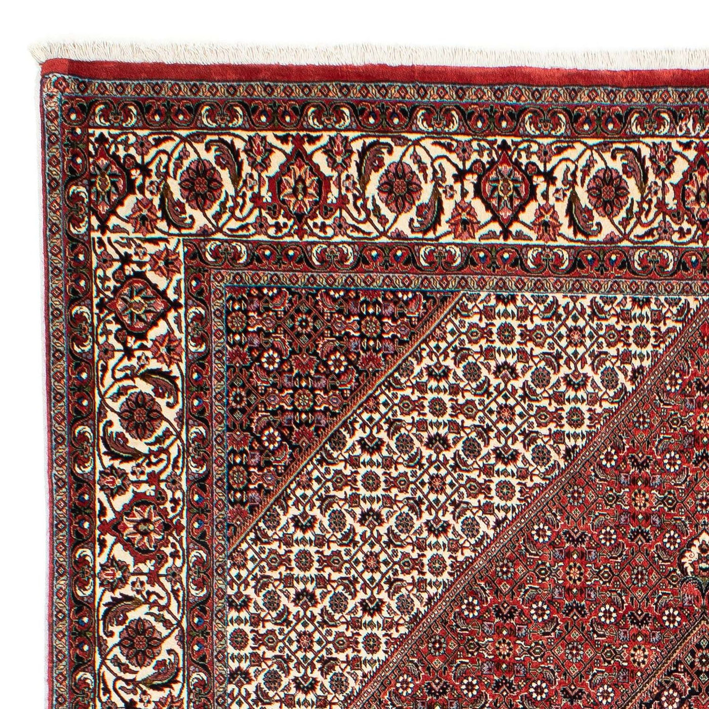 Bidjar Tapijt 294x204cm - Perzisch tapijt