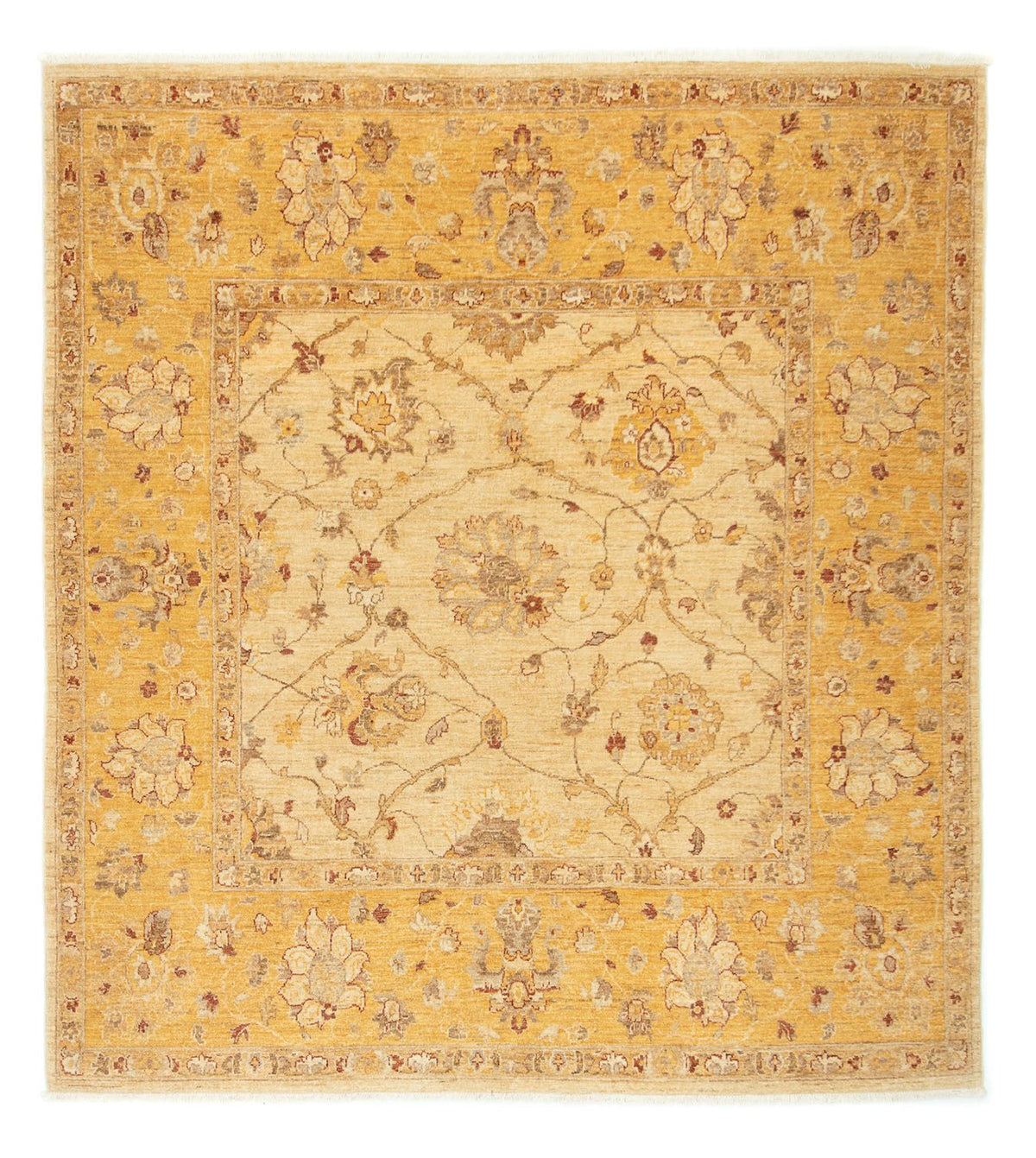 Ziegler tapijt vierkant  - 209 x 192 cm - beige
