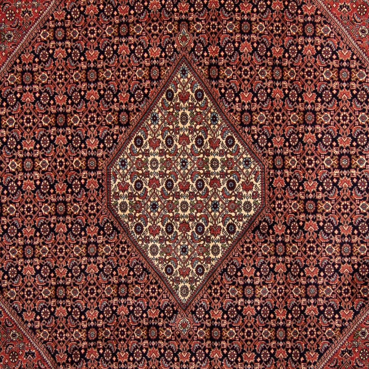 Perzisch tapijt - Bijar - 350 x 249 cm - bruin