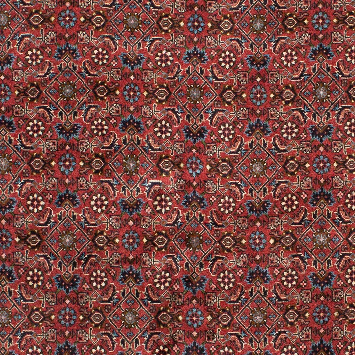 Perzisch tapijt - Bijar - 218 x 136 cm - rood