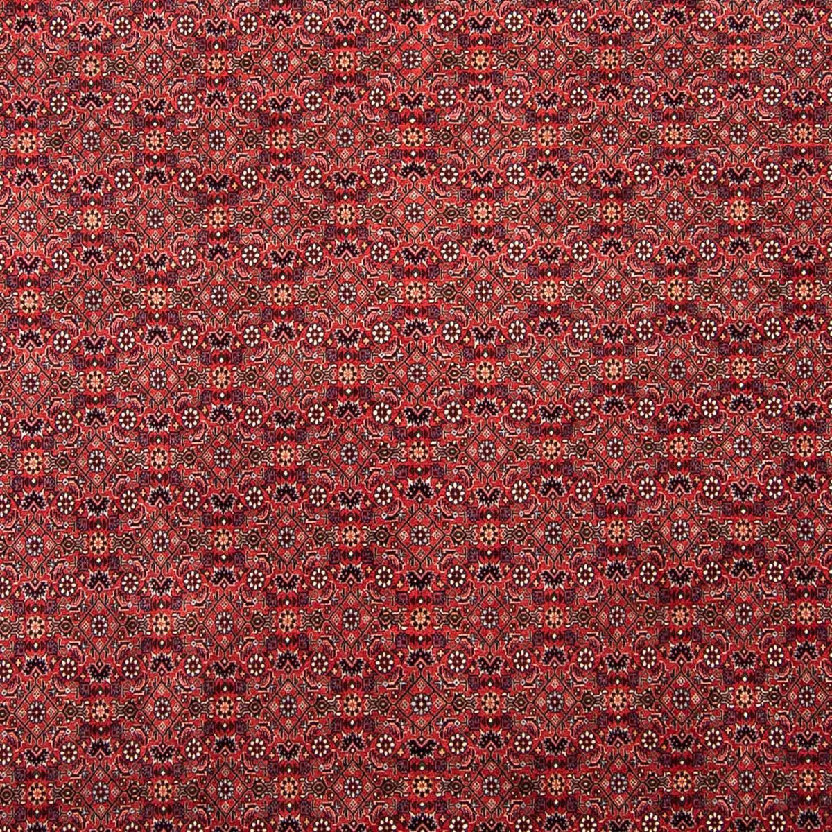 Perzisch tapijt - Bijar - 296 x 250 cm - donkerrood