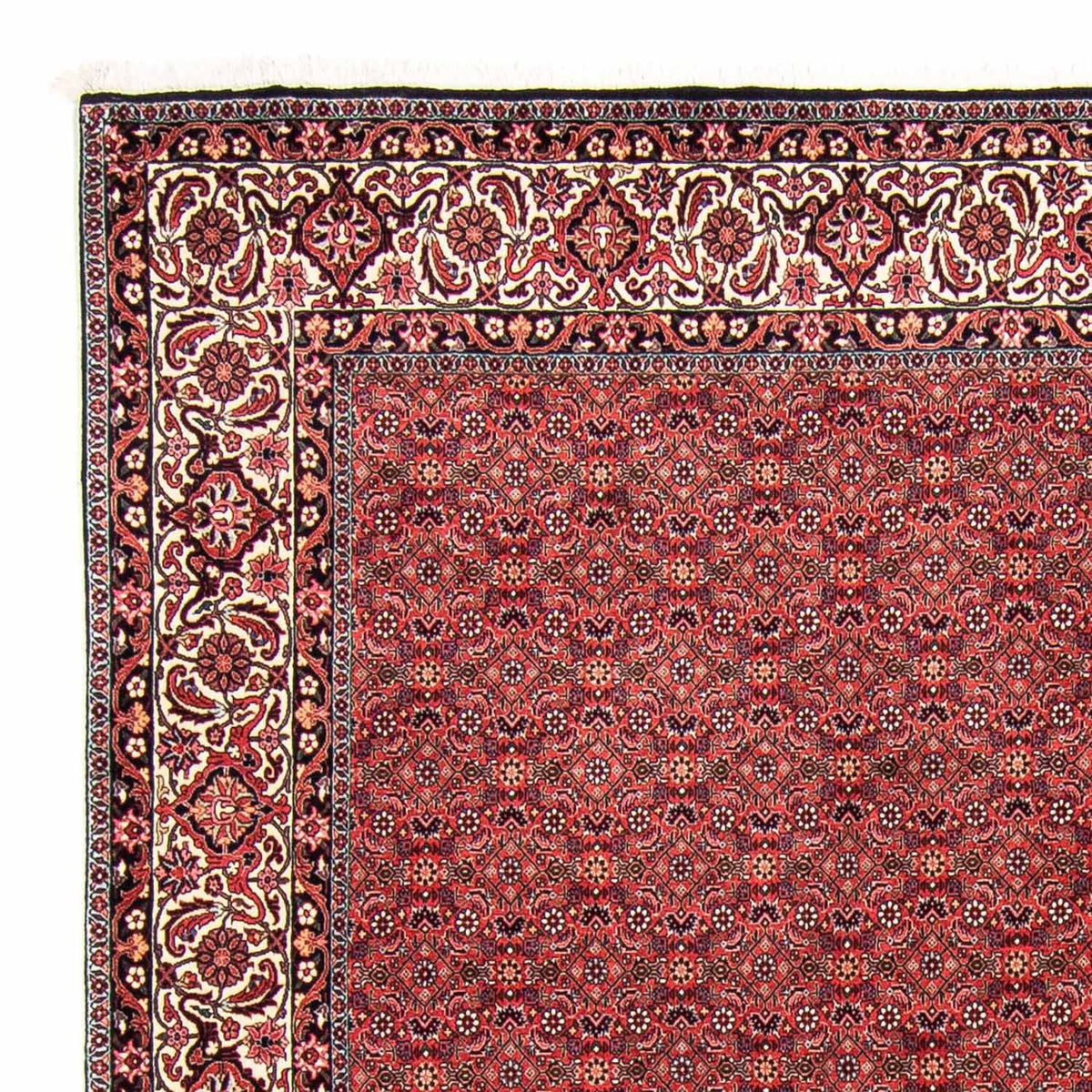 Perzisch tapijt - Bijar - 296 x 250 cm - donkerrood