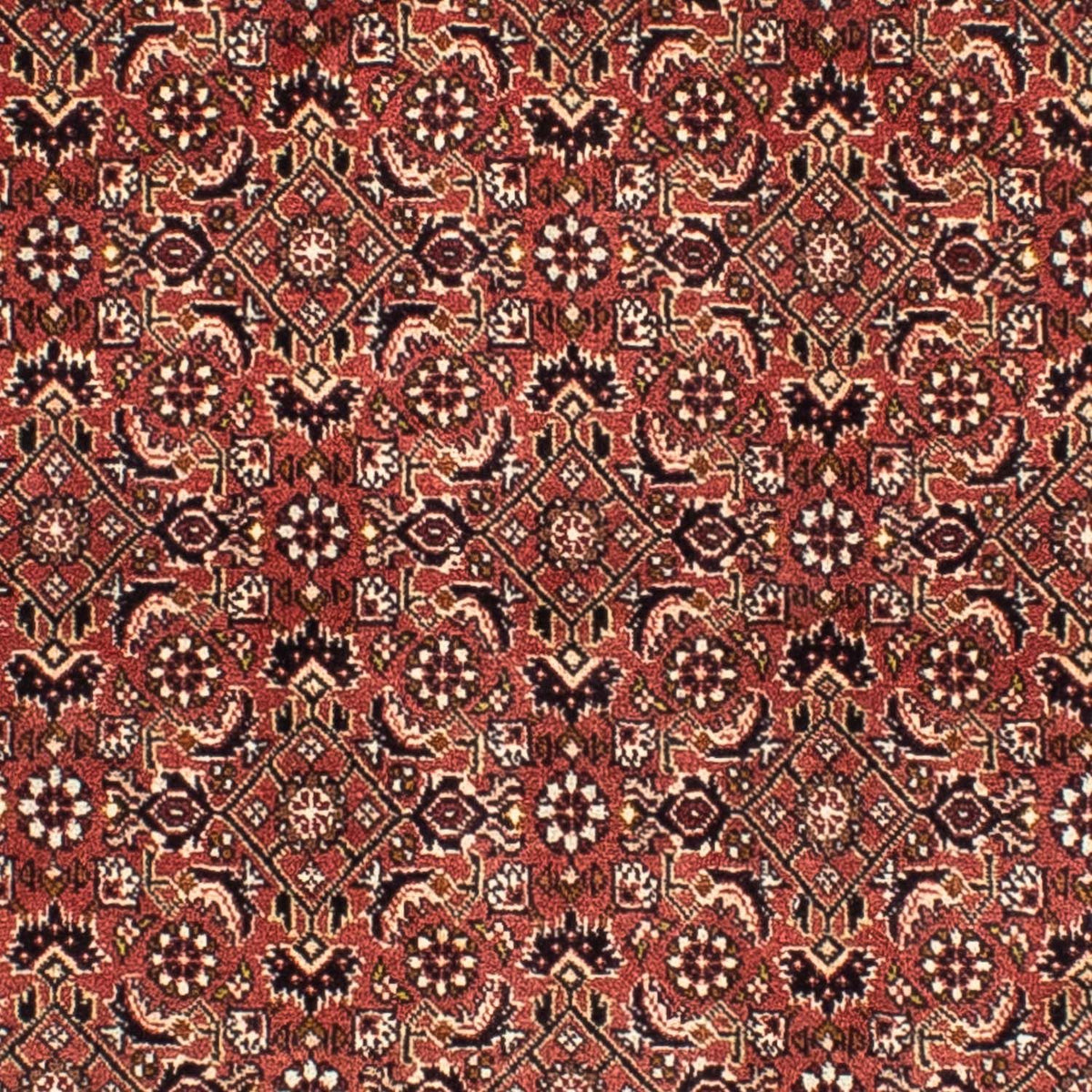 Perzisch tapijt - Bijar vierkant  - 200 x 195 cm - licht rood