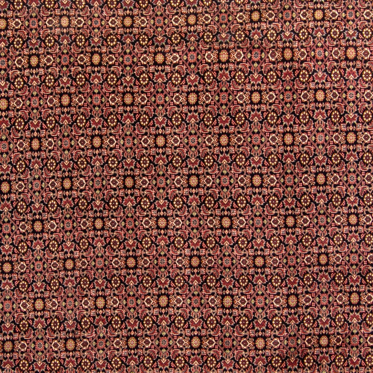 Perzisch tapijt - Bijar - 343 x 254 cm - bruin