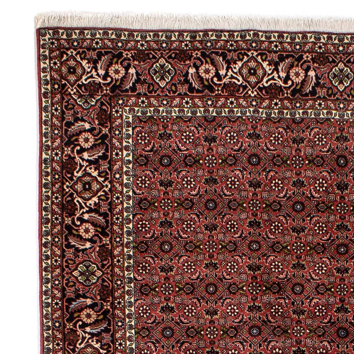 Bidjar Tapijt 295x196cm - Perzisch tapijt