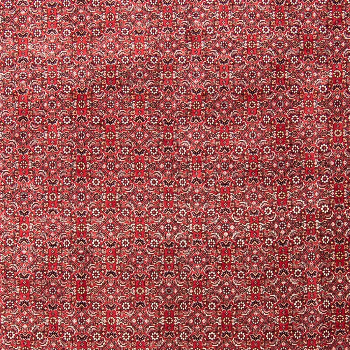 Perzisch tapijt - Bijar - 340 x 255 cm - licht rood
