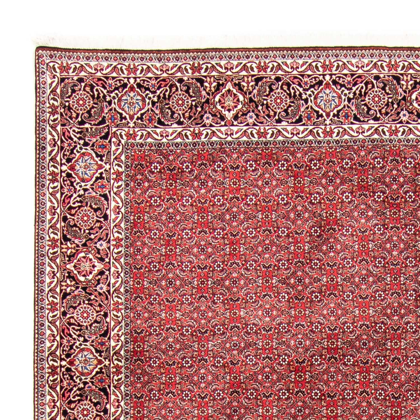 Bidjar Tapijt 340x255cm - Perzisch tapijt