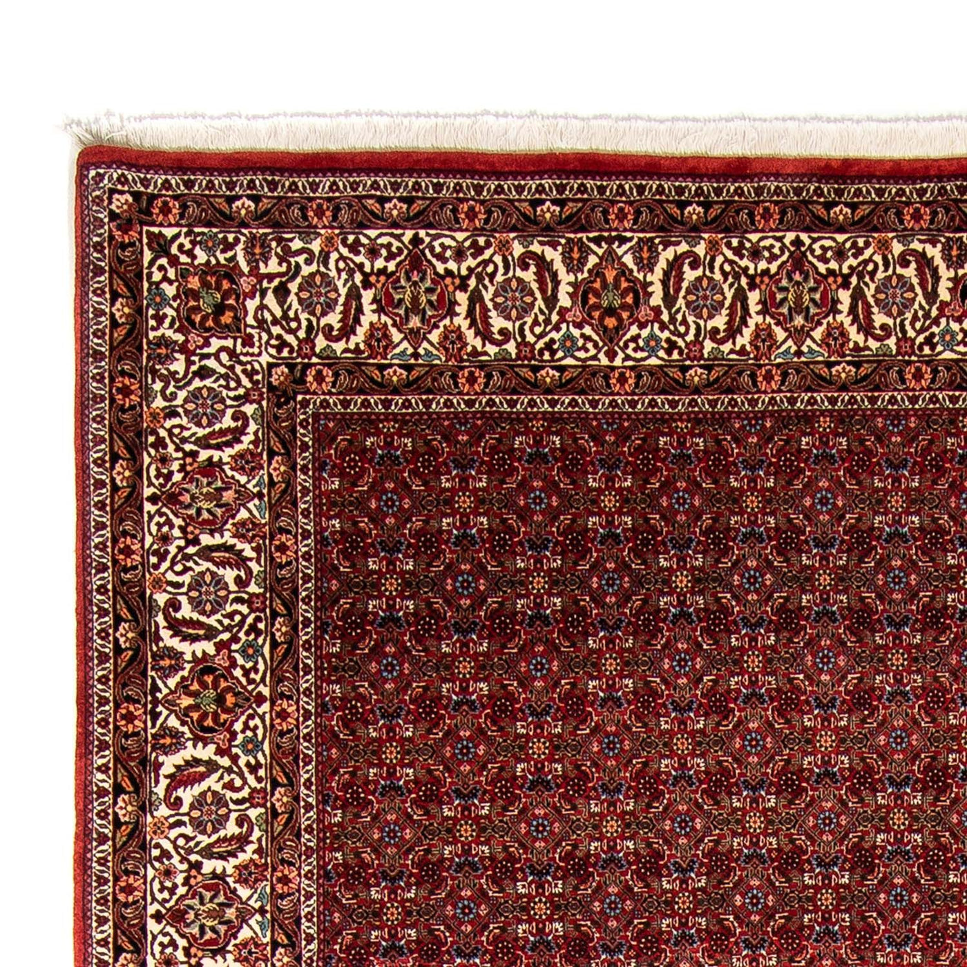 Bidjar Tapijt 350x250cm - Perzisch tapijt