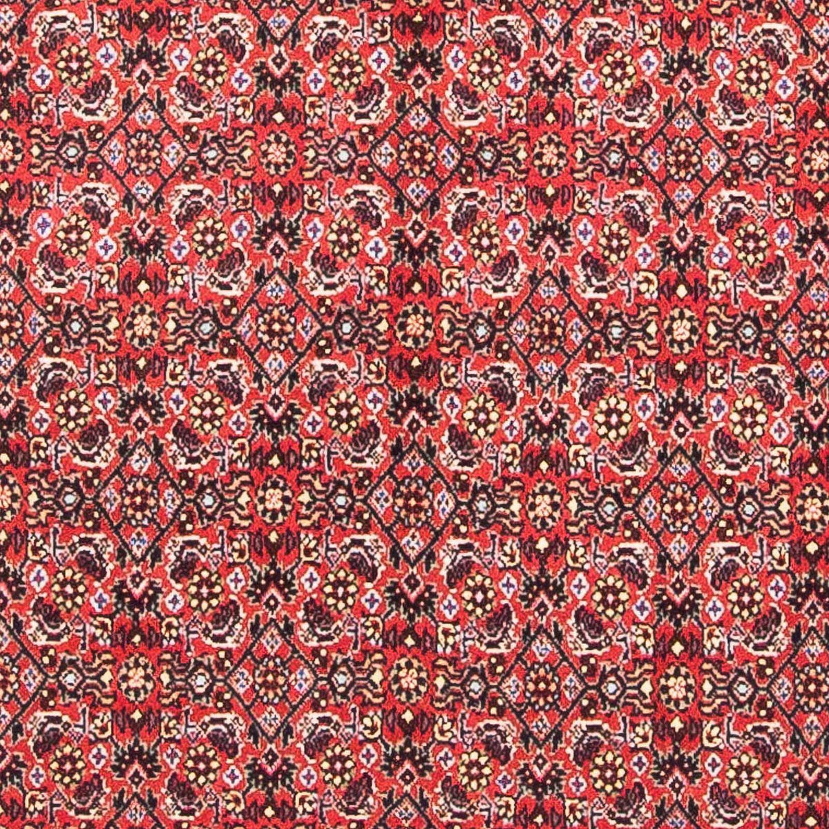 Perzisch tapijt - Bijar vierkant  - 104 x 98 cm - rood