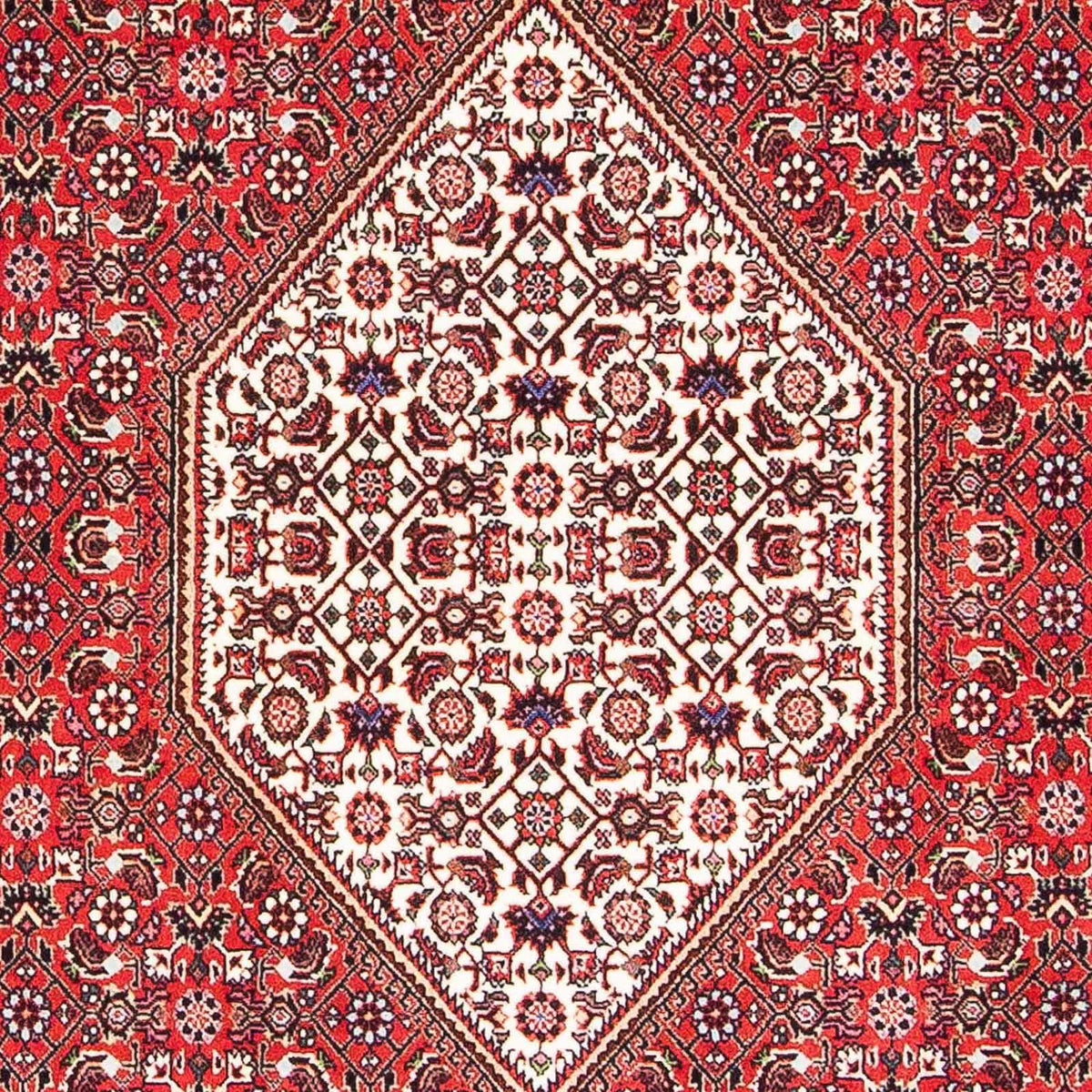 Perzisch tapijt - Bijar - 175 x 108 cm - rood