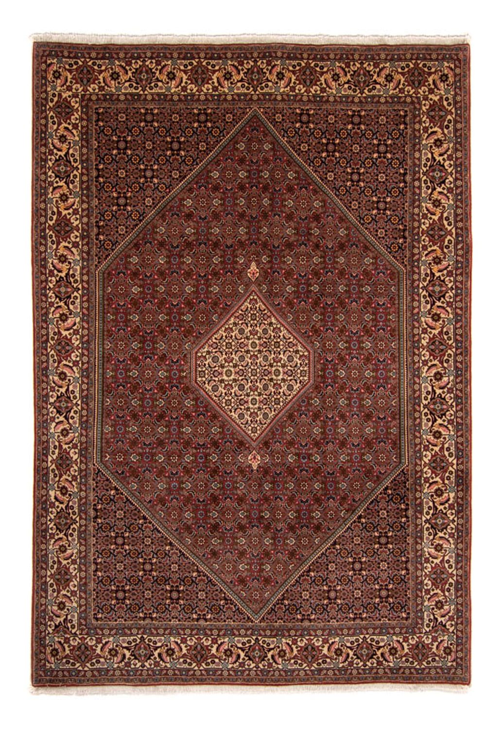 Perzisch tapijt - Bijar - 356 x 243 cm - bruin