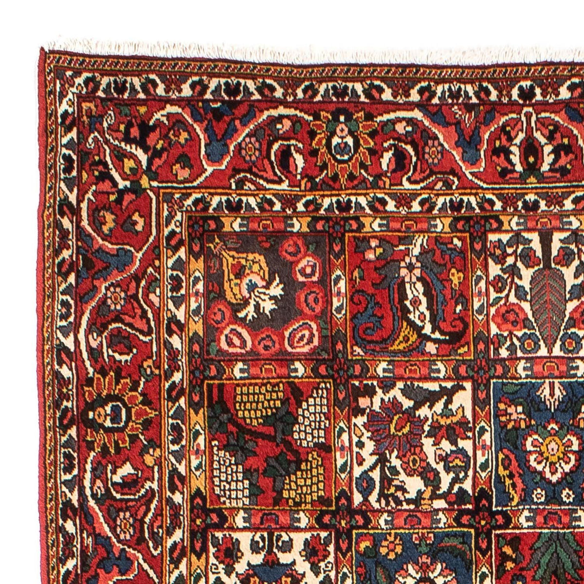 Perzisch Tapijt - Nomadisch - 246 x 161 cm - veelkleurig