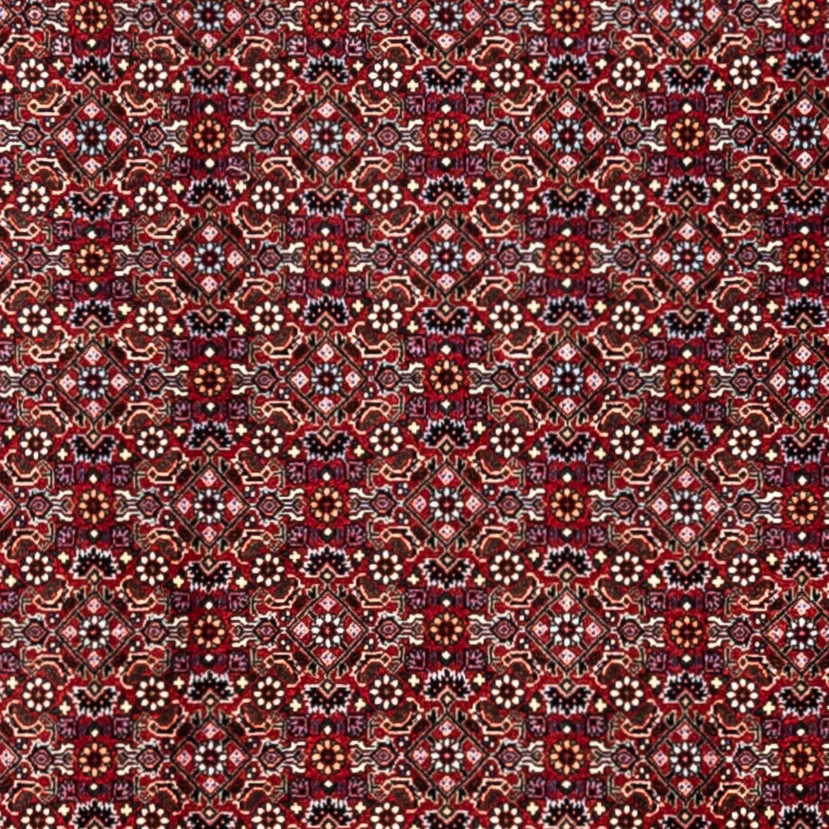Perzisch tapijt - Bijar - Koninklijk - 340 x 252 cm - rood
