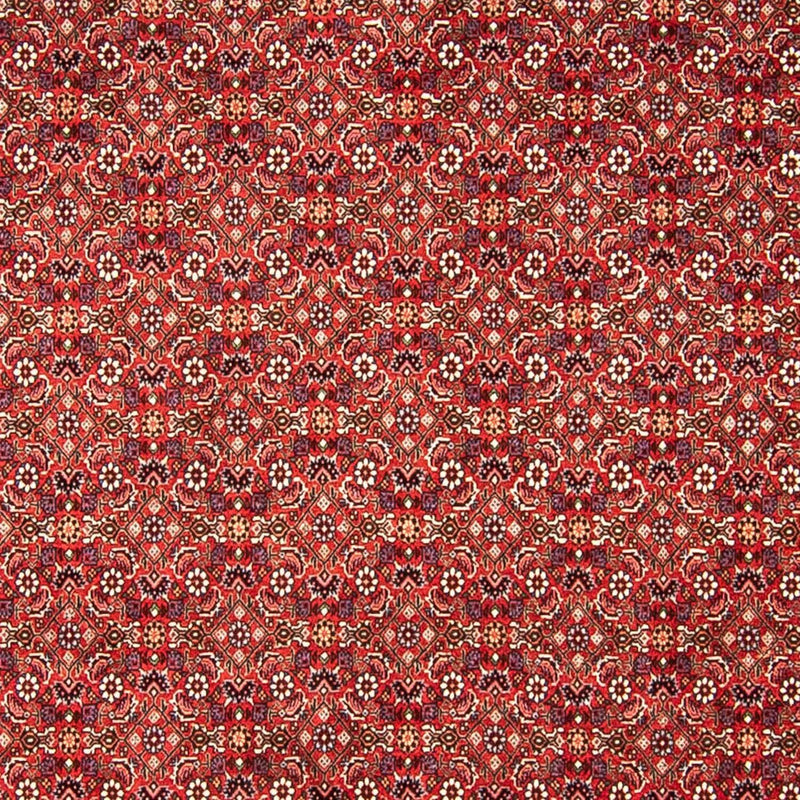 Perzisch tapijt - Bijar - 290 x 250 cm - rood