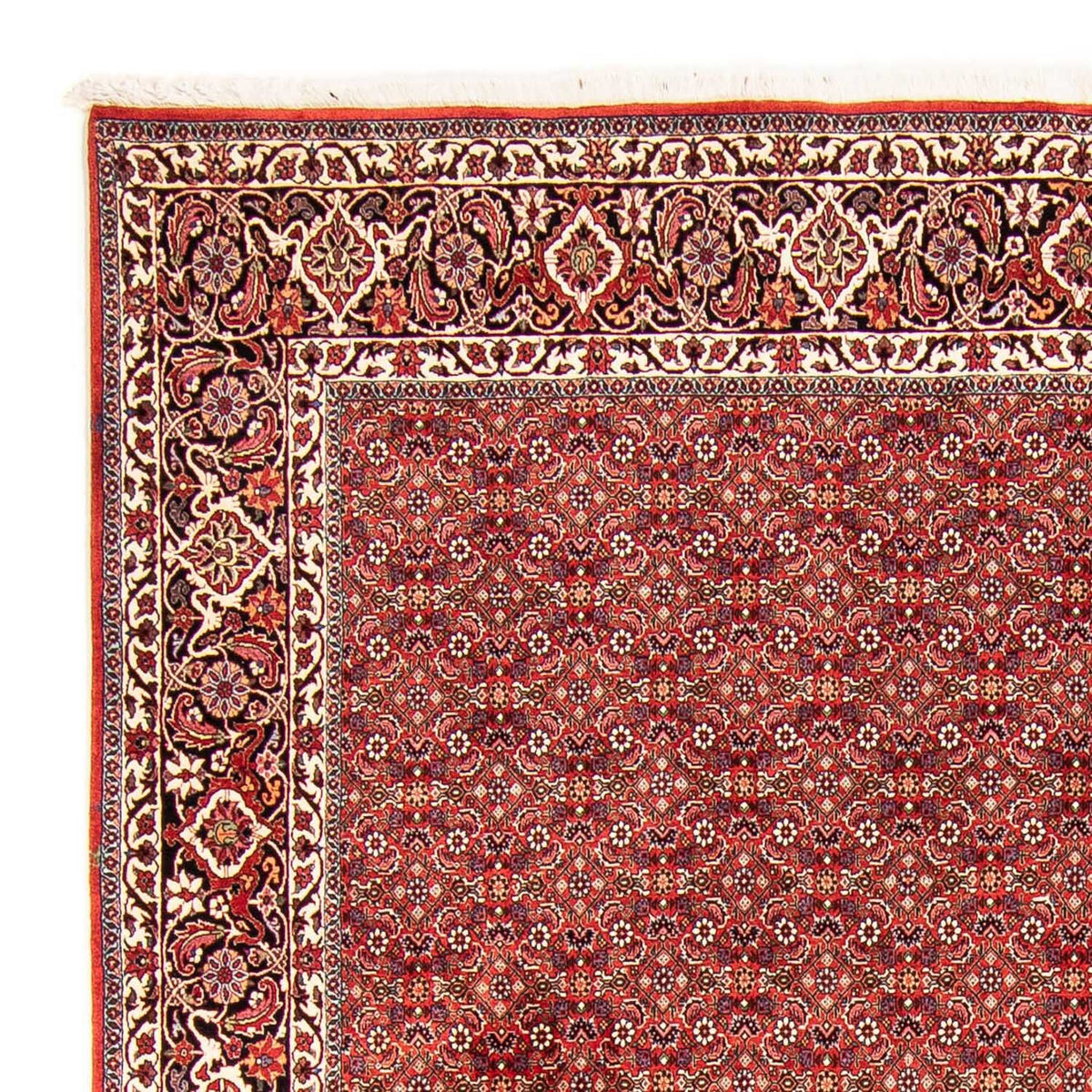 Perzisch tapijt - Bijar - 290 x 250 cm - rood