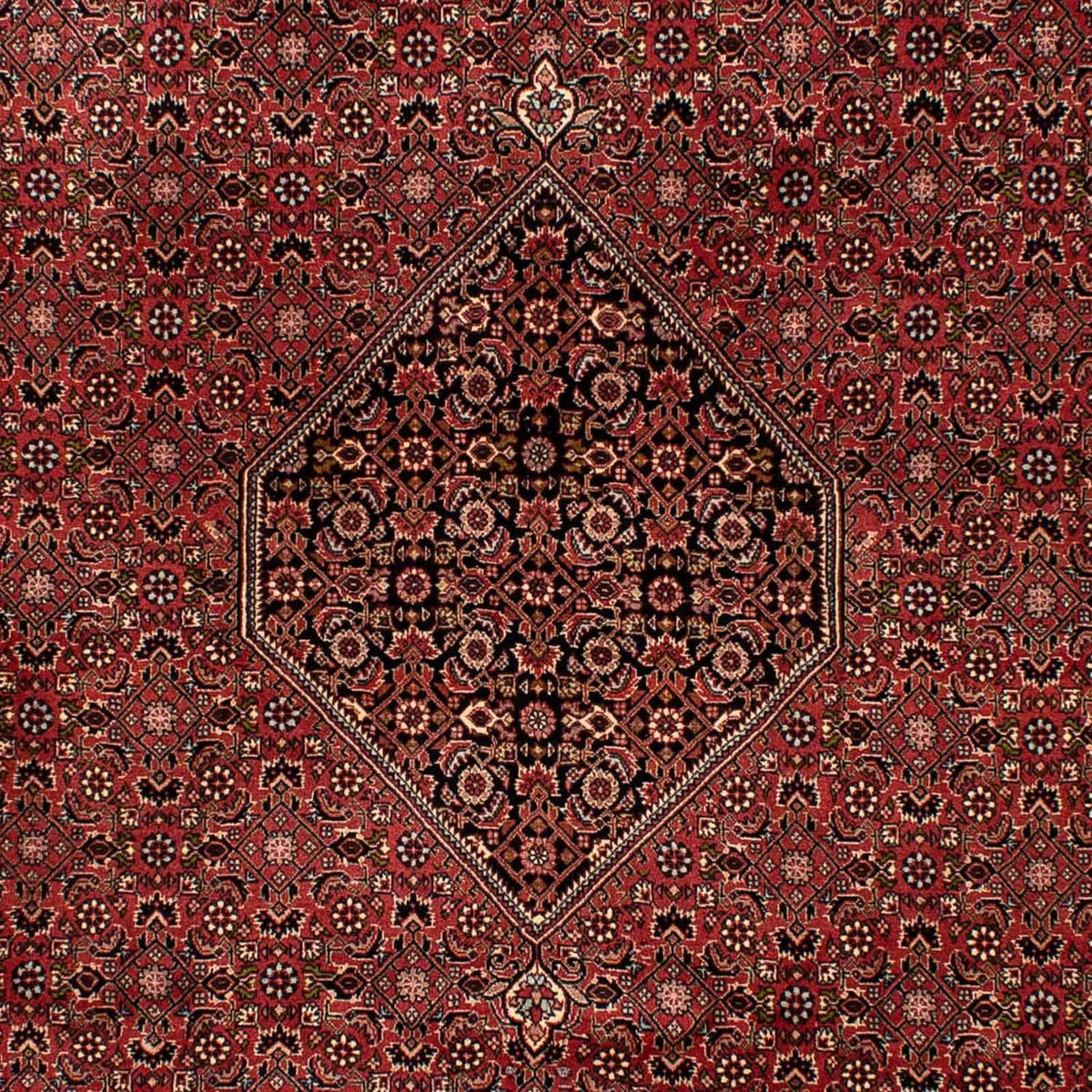 Perzisch tapijt - Bijar - 300 x 202 cm - bruin