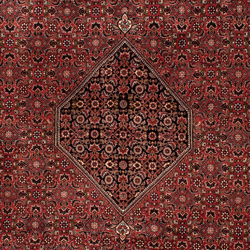 Perzisch tapijt - Bijar - 300 x 202 cm - bruin