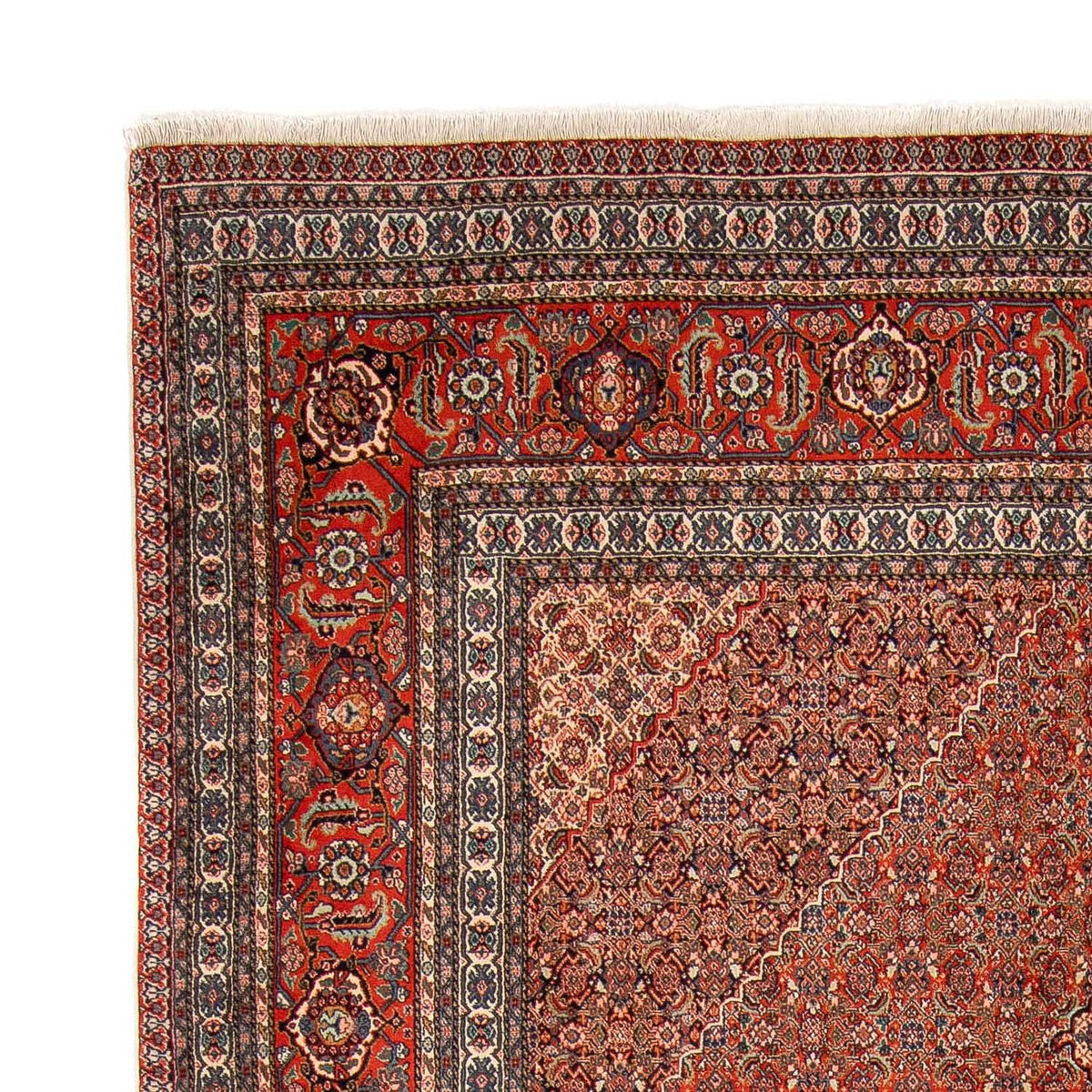 Sarab Tapijt 248x350cm - Perzisch tapijt