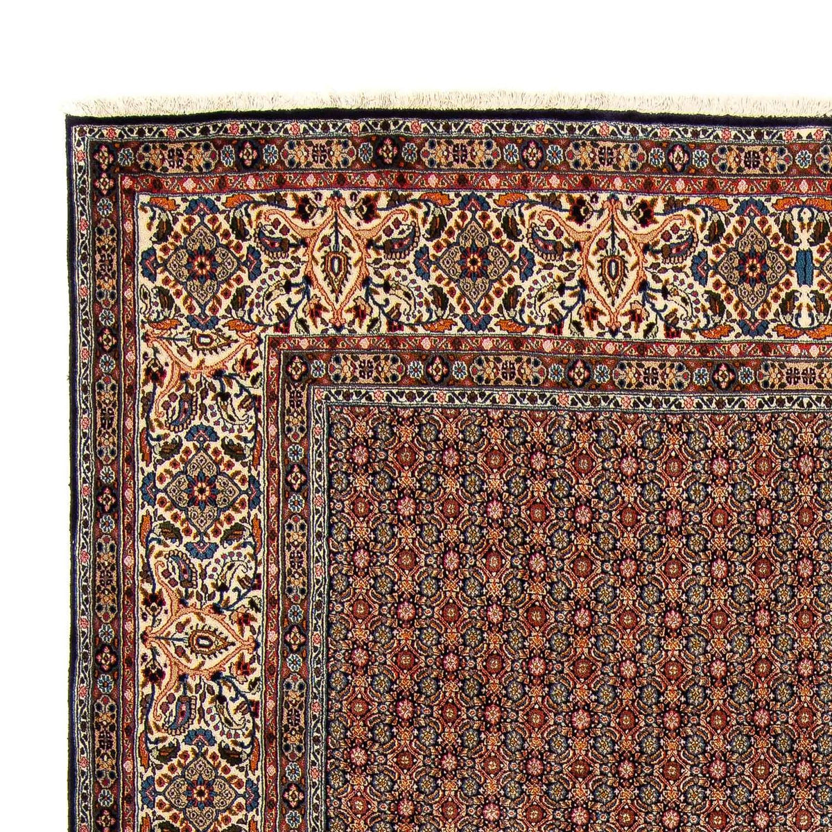 Moud Tapijt 241x345cm - Perzisch tapijt