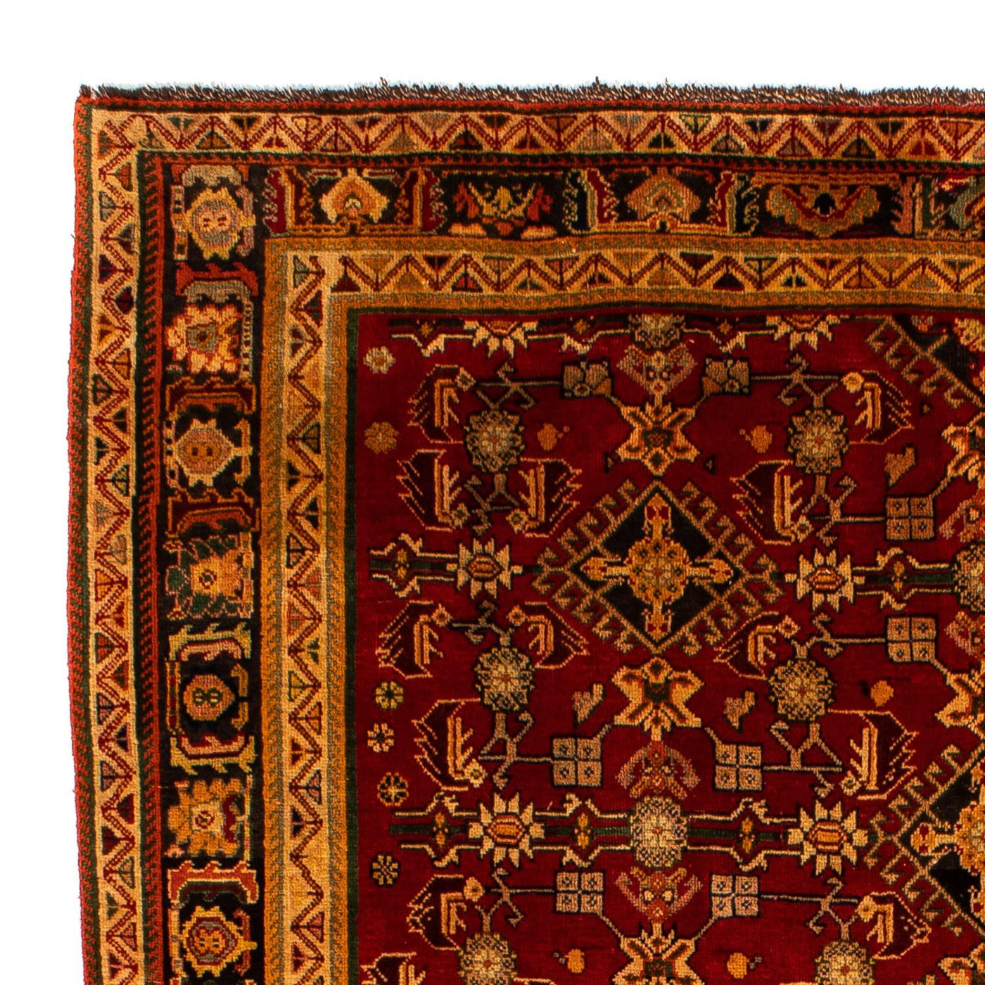 Shiraz Tapijt 296x190cm - Perzisch tapijt