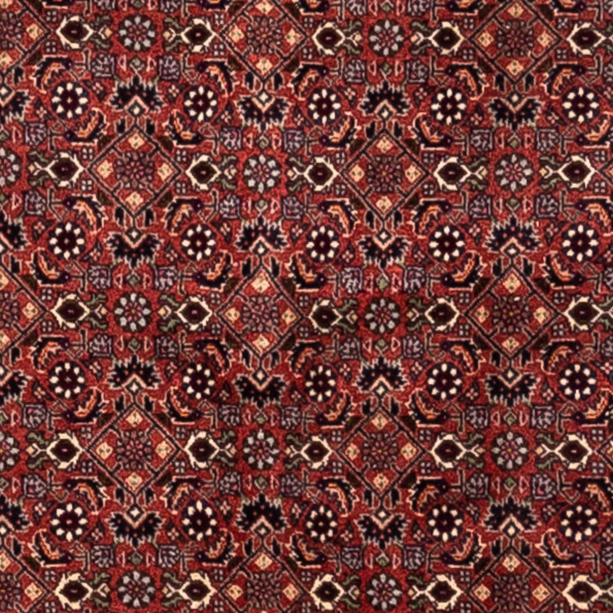 Perzisch tapijt - Bijar - Koninklijk - 293 x 200 cm - rood