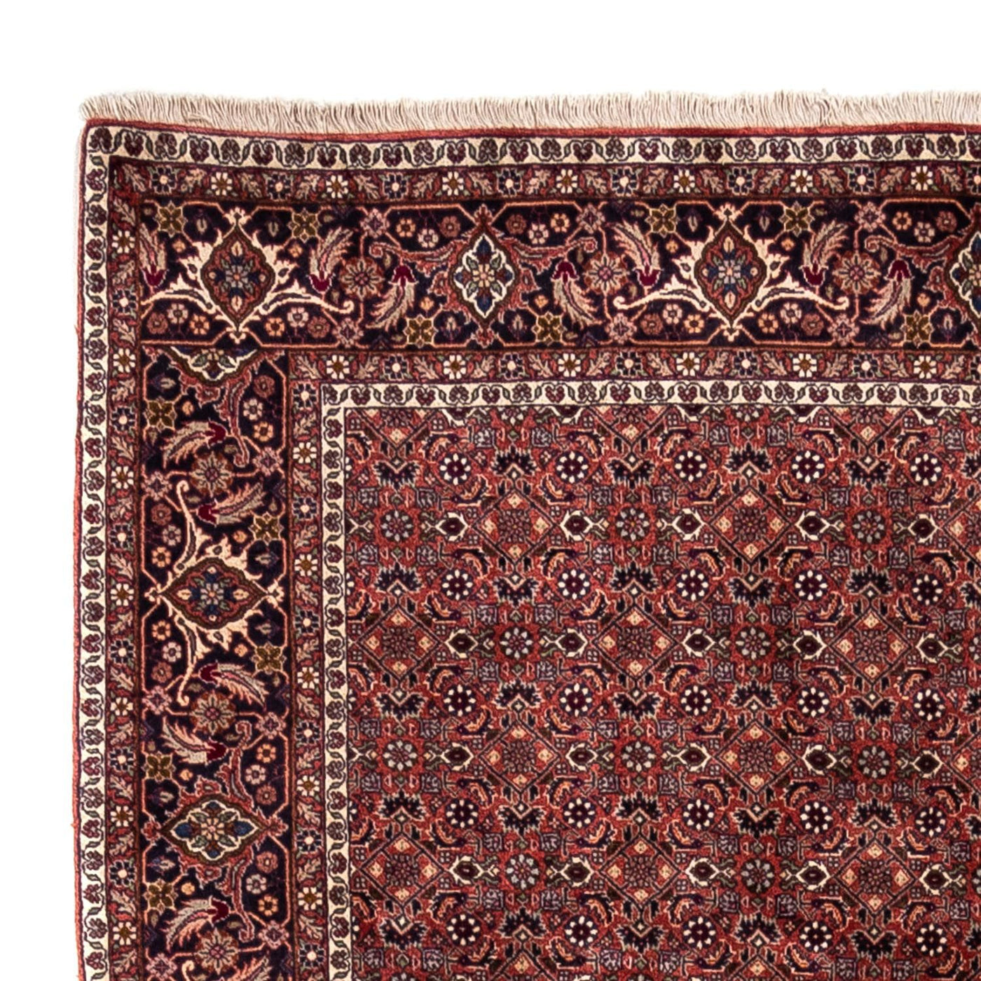 Bidjar - Takab Tapijt 293x200cm - Perzisch tapijt