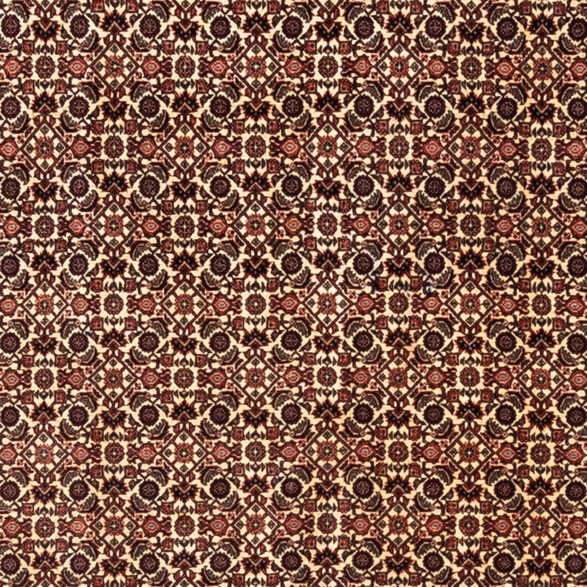Perzisch tapijt - Bijar - Koninklijk - 287 x 208 cm - beige